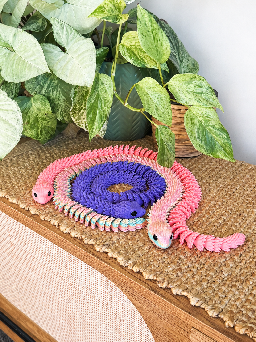 Slinky Snake